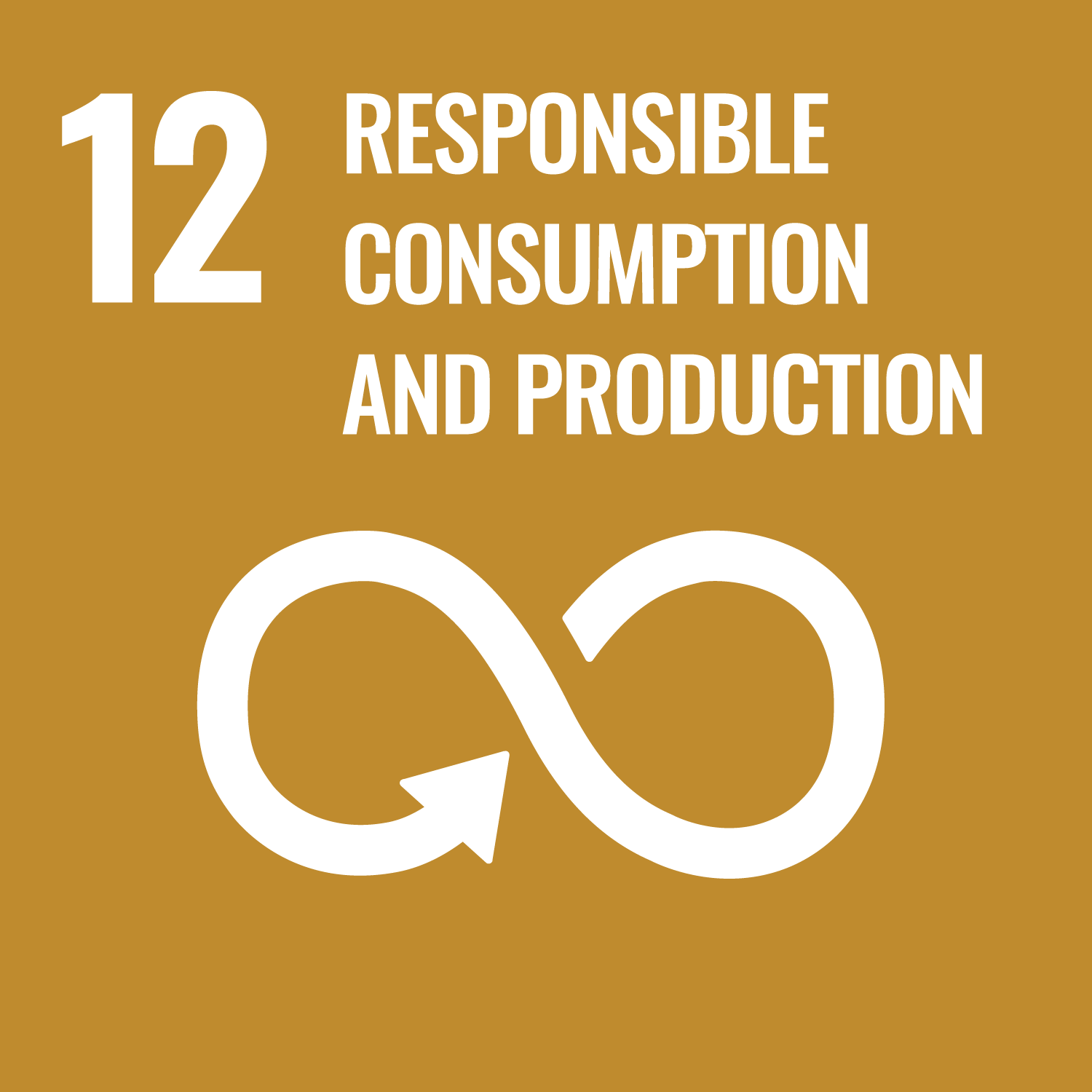 UN Sustainability Goal Icon #12